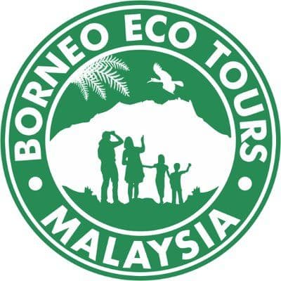 Borneo Eco Tours color logo