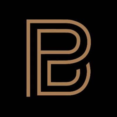 BostonPro Car Service color logo