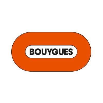 Bouygues Group color logo