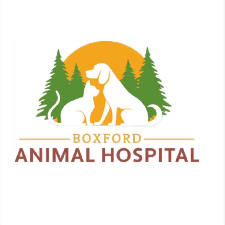 Boxford Animal Hospital color logo