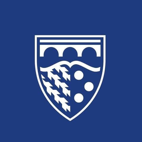 Brandirectory color logo