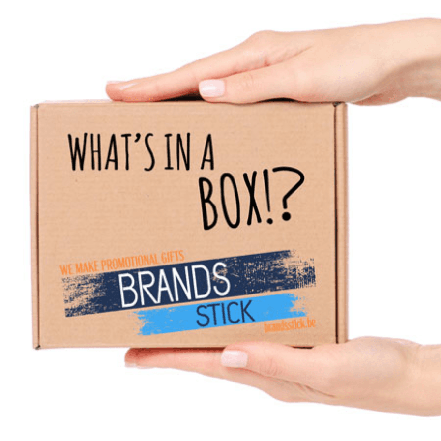 BrandsStick color logo