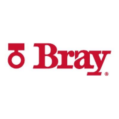 Bray International color logo