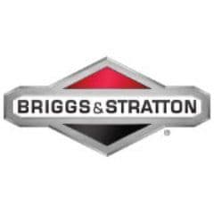 Briggs & Stratton color logo