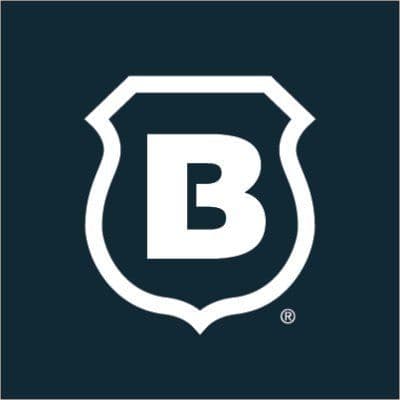 Brinks Home color logo