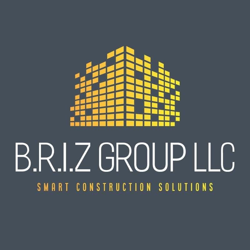 B.R.I.Z Group LLC color logo