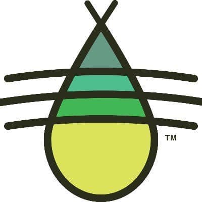 BrynmorEarlyEd color logo