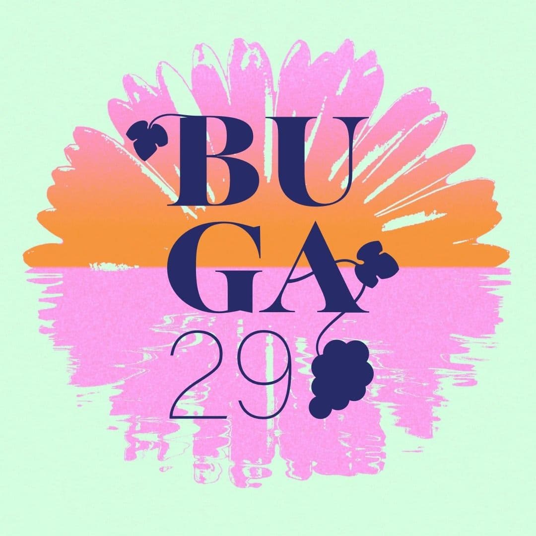 BUGA 2029 Welterbe Oberes Mittelrheintal color logo