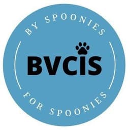 BVCIS