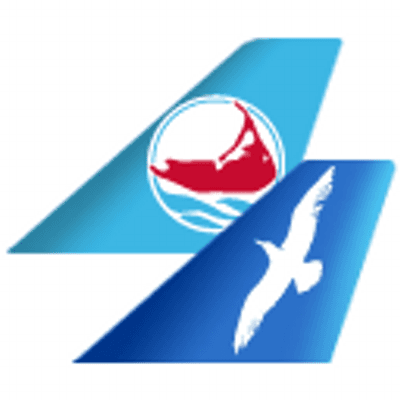 Cape Air color logo