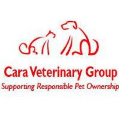 CaraVetGroup color logo