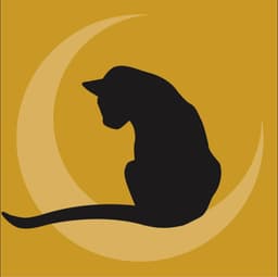 Cat Vet Clinic
