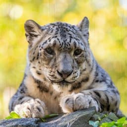 Central Park Zoo