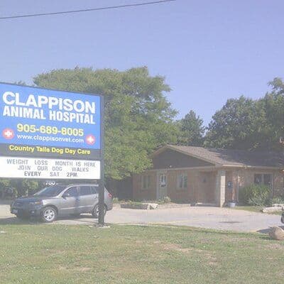 Clappison Vet color logo