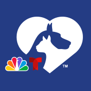 Clear the Shelters color logo