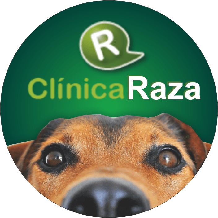 Clínica Raza color logo
