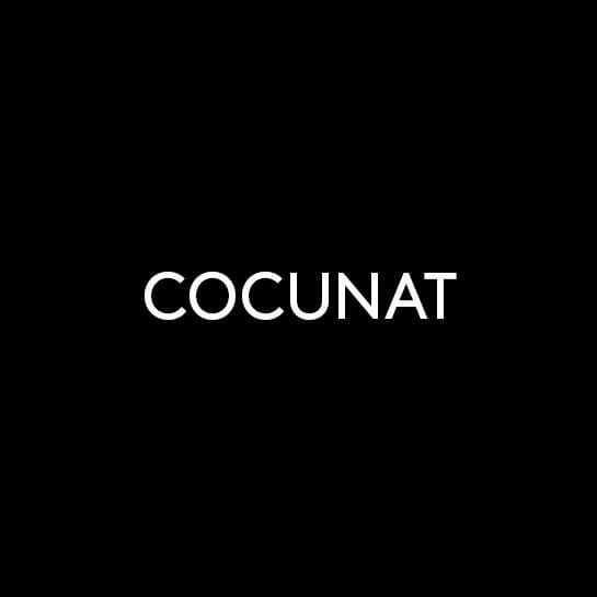 Cocunat color logo