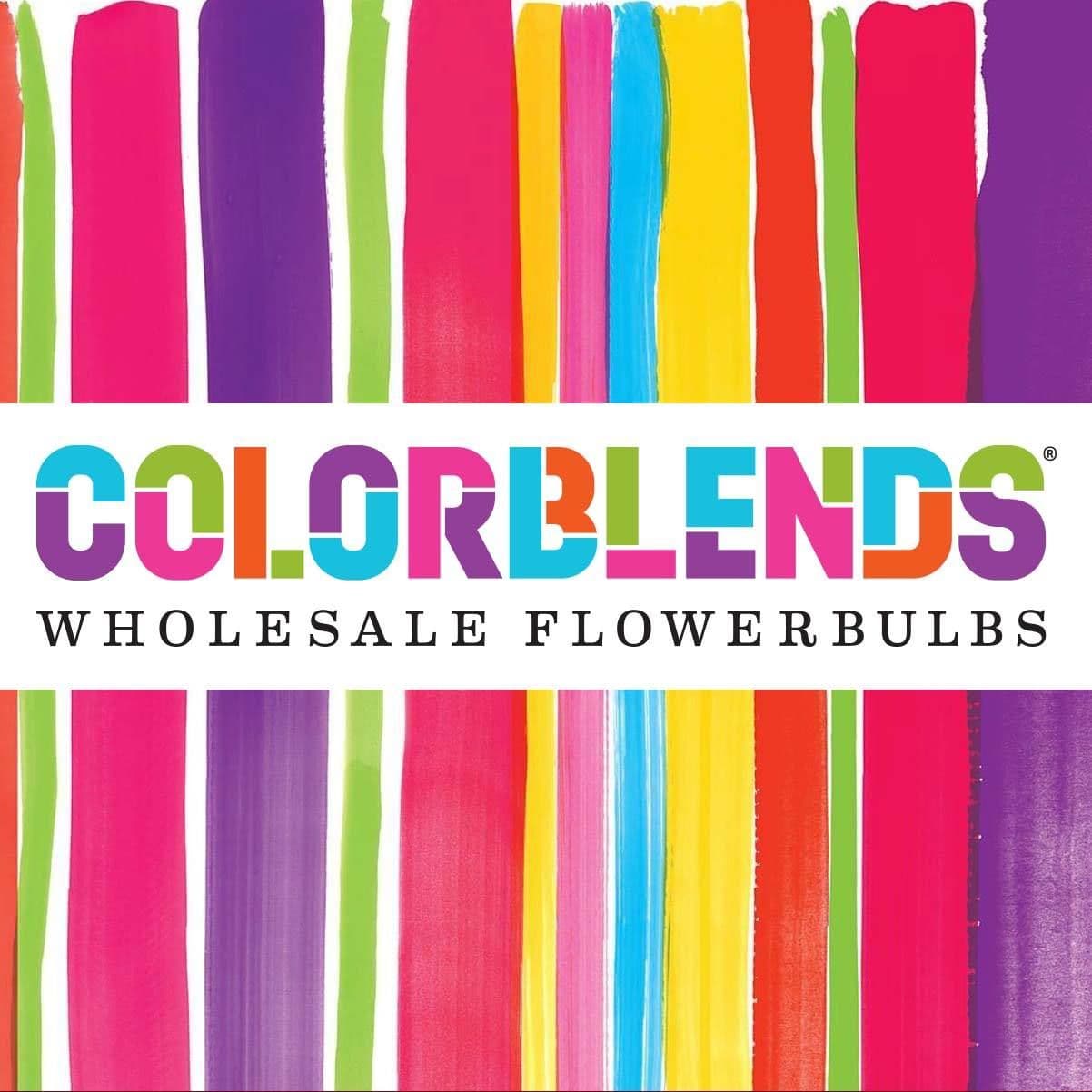 Colorblends Wholesale Flowerbulbs color logo
