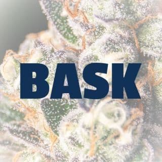 Bask color logo