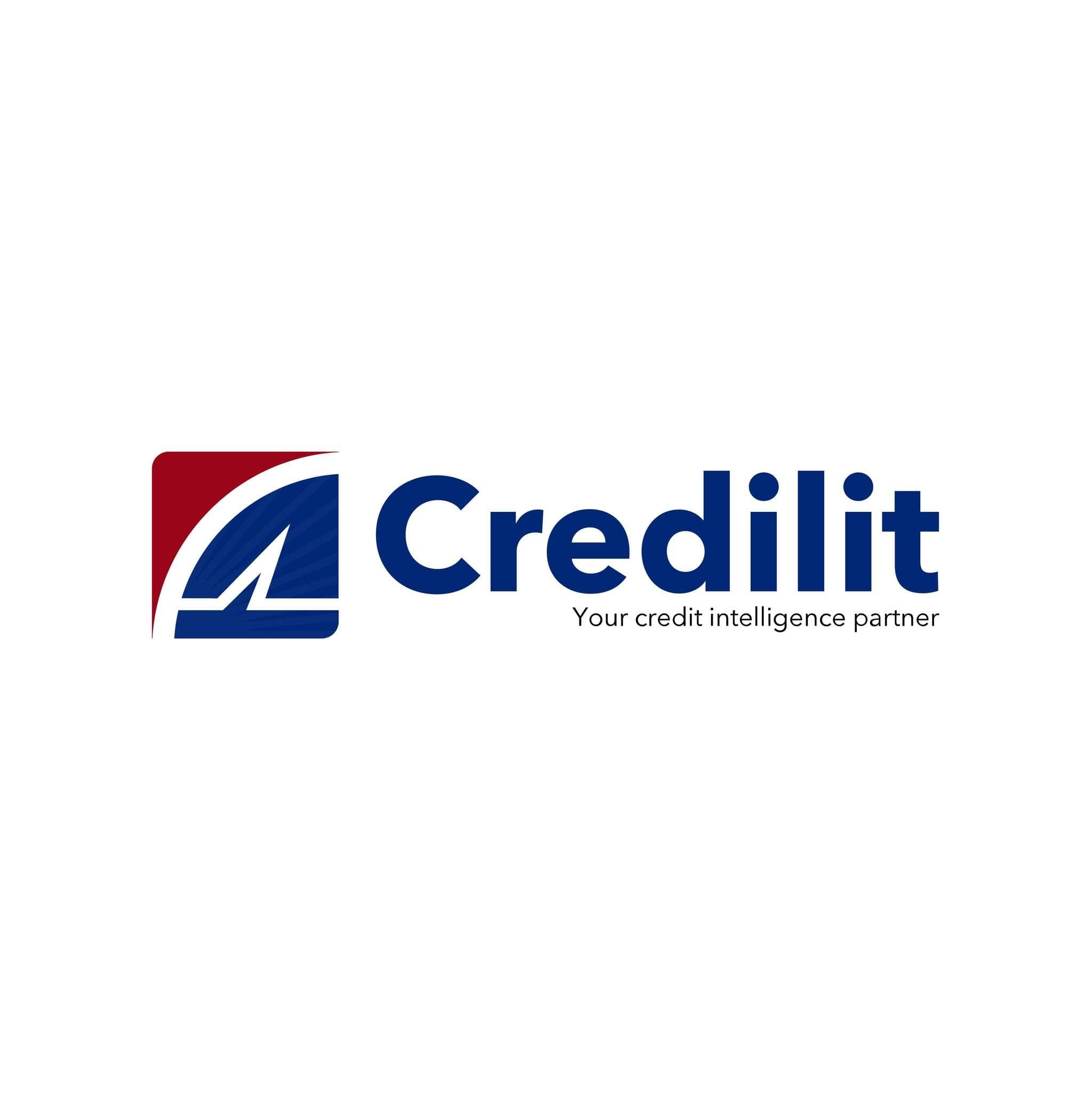 Credilit Limited color logo