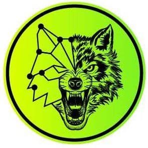 CryptoFalka Hungary color logo