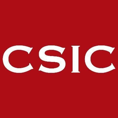 CSIC color logo
