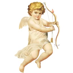 – CupidoDesign