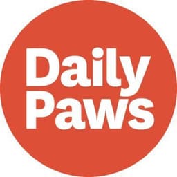 DailyPaws
