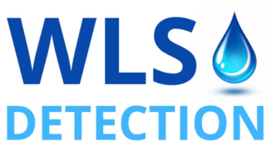 Water leak services spain color logo