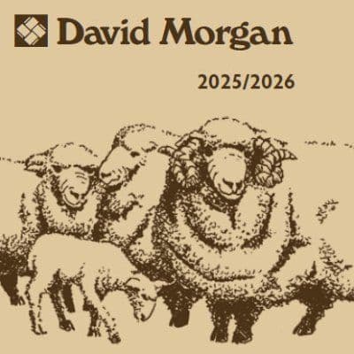 David Morgan llc color logo