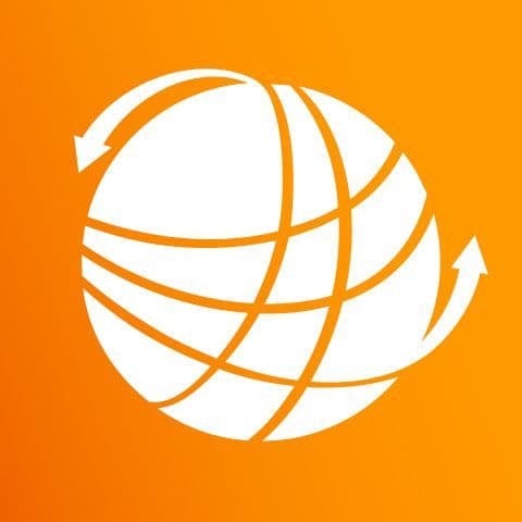 DDI color logo