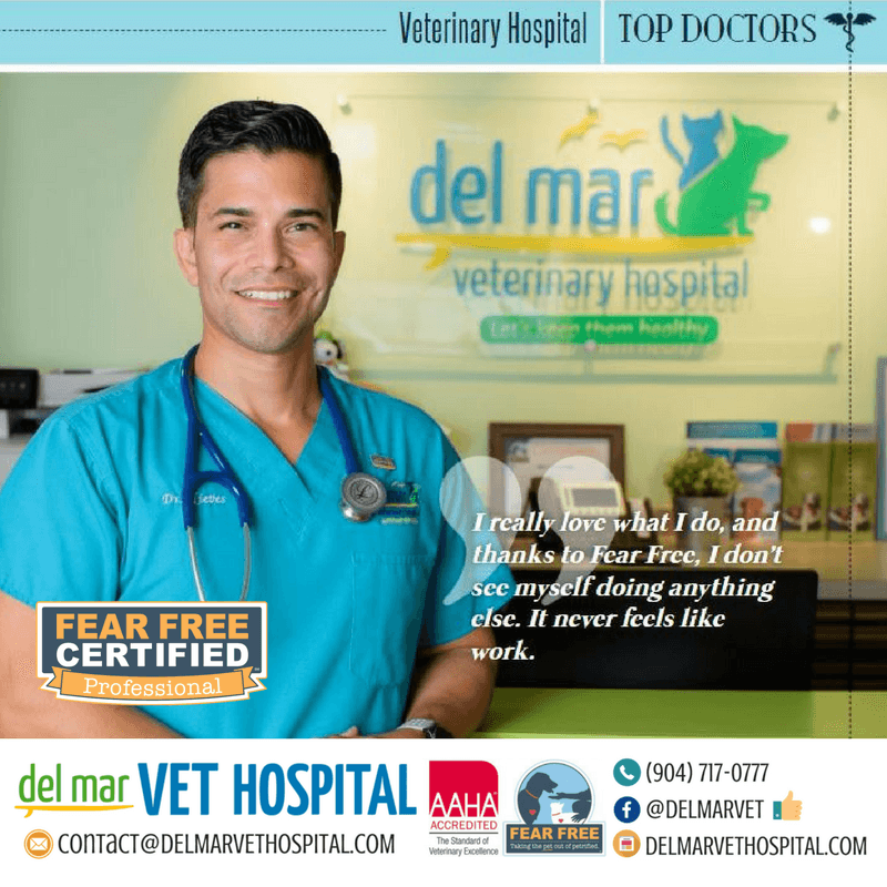 Del Mar Vet Hospital color logo