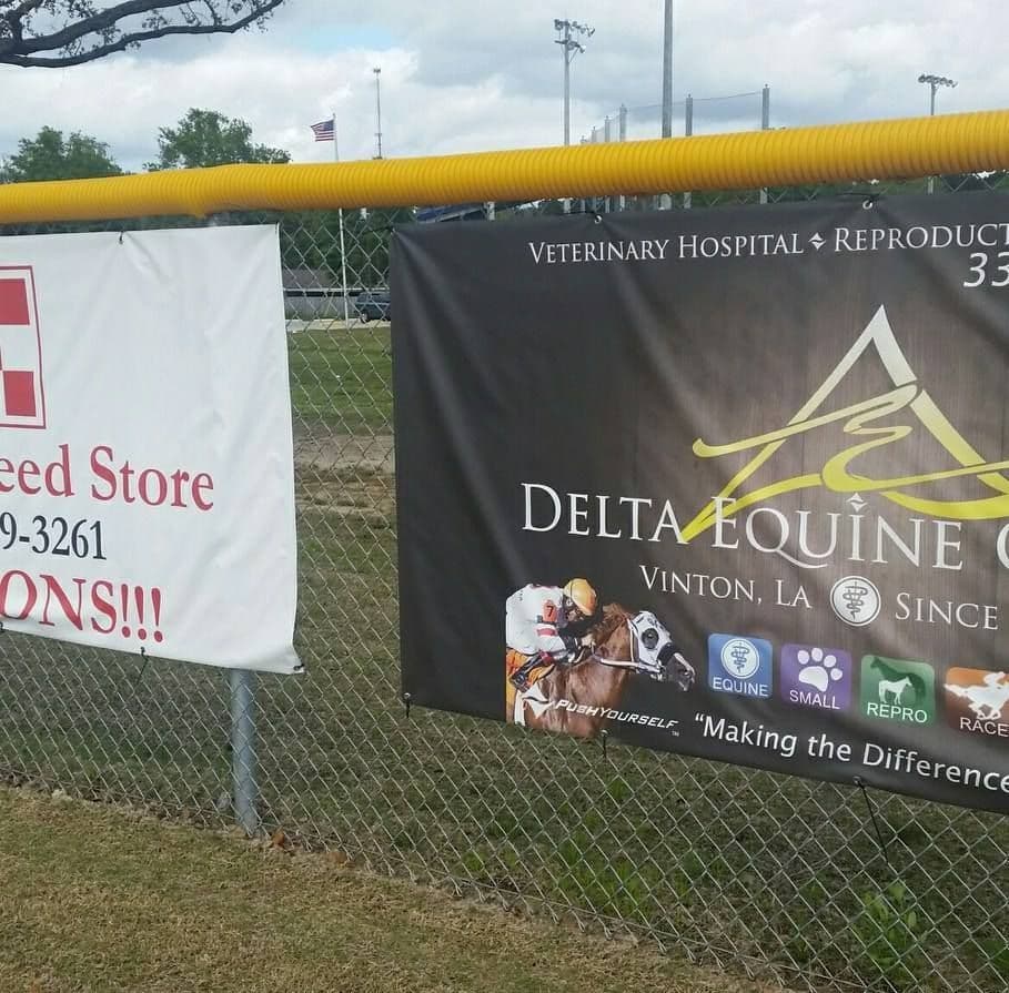 Delta Equine Center color logo