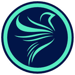Divine Disclosures color logo