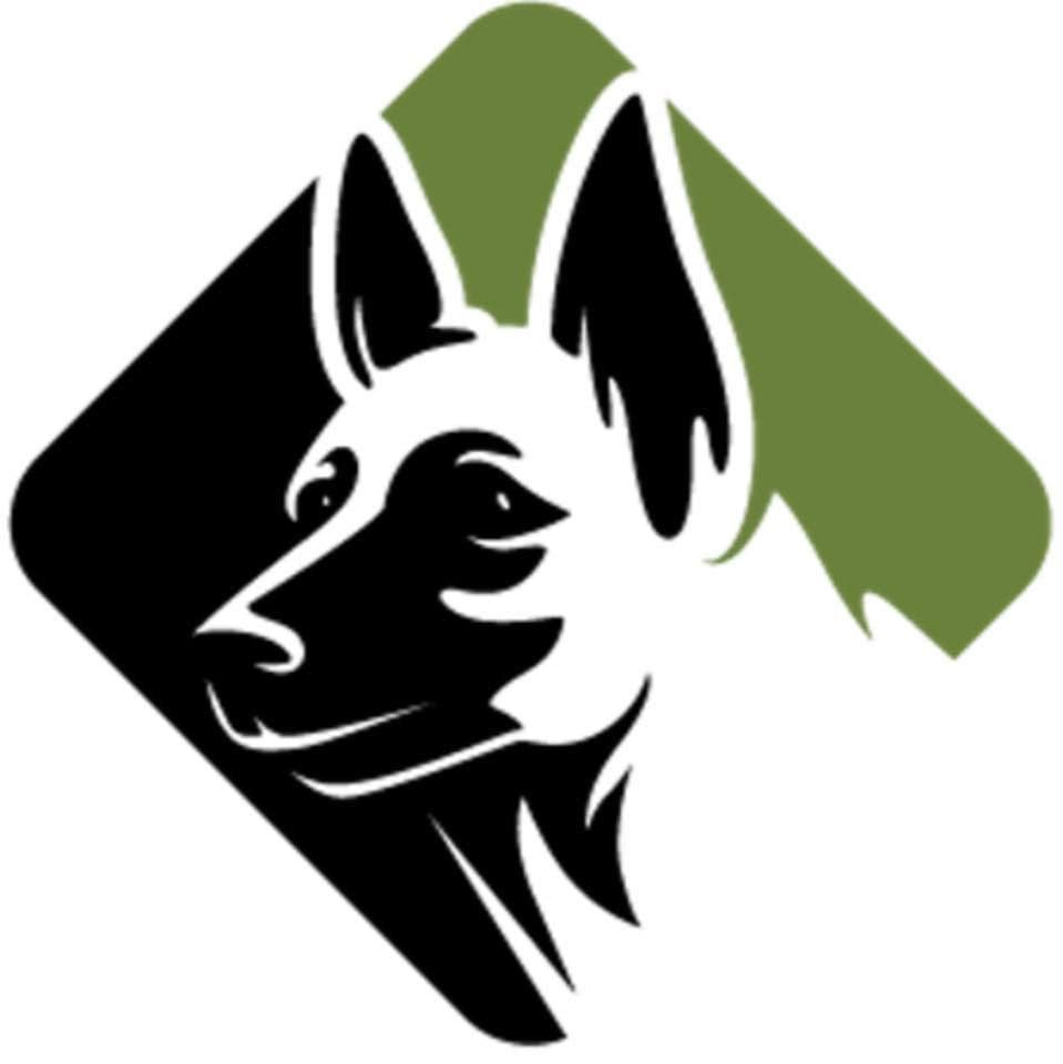 Dog Detectives color logo