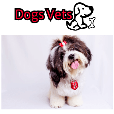 Dogsvets color logo