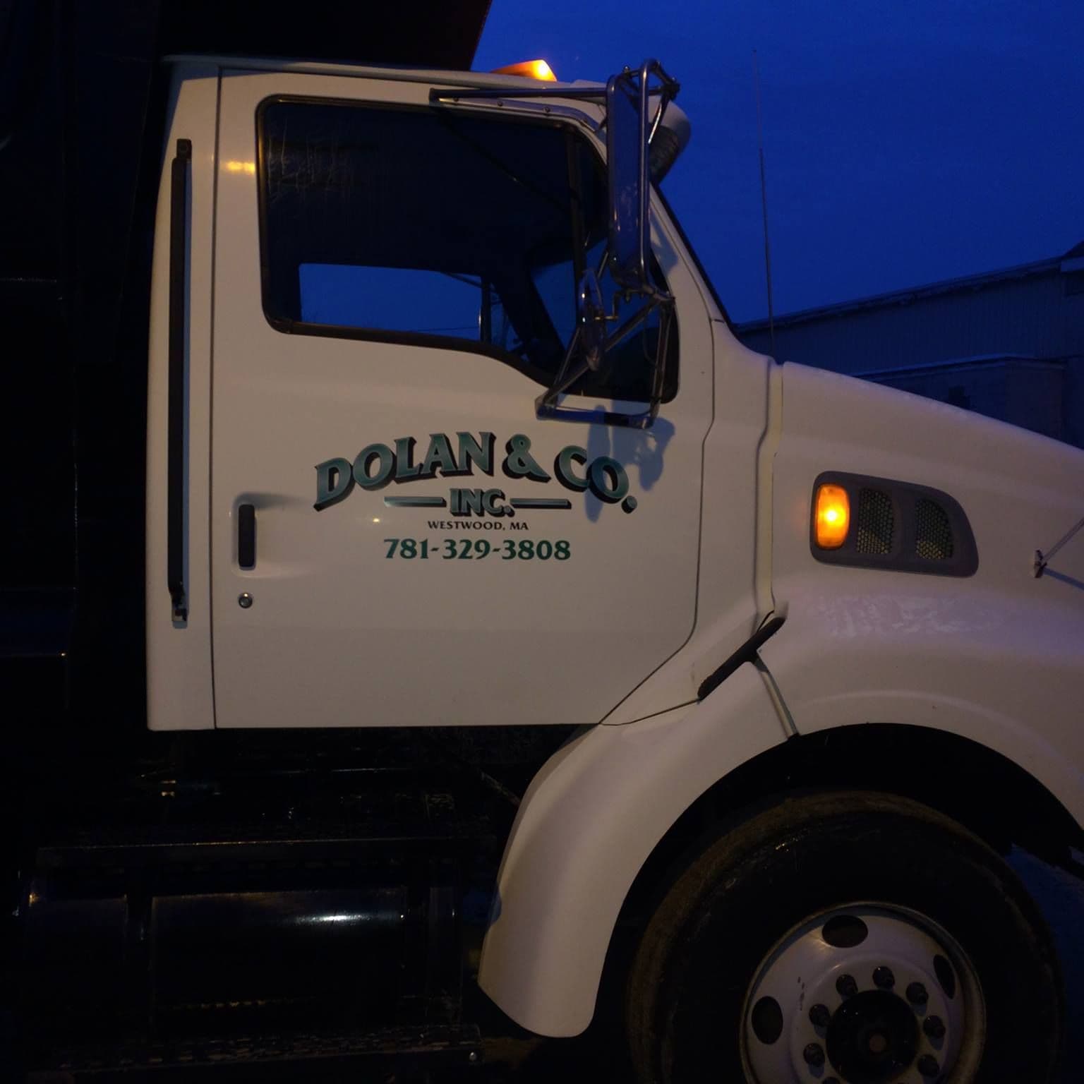Dolan and Company color logo