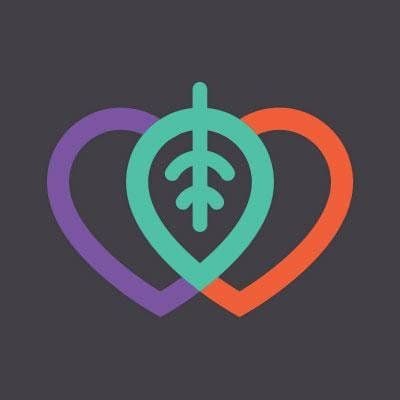 Drug Rehab color logo