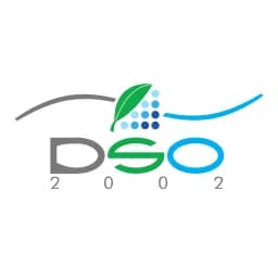 DSO2002 FRANCE color logo