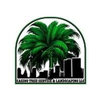 Casino Tree Service and landscaping LLC color logo
