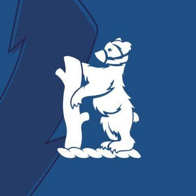 Bears color logo
