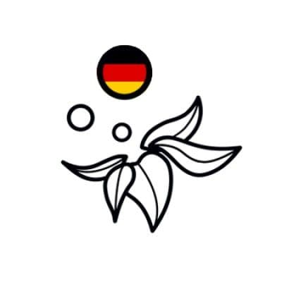 ELFBARDE color logo