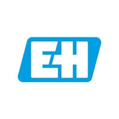 Endress+Hauser Group color logo
