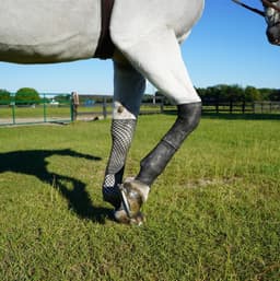 EquineSleeve