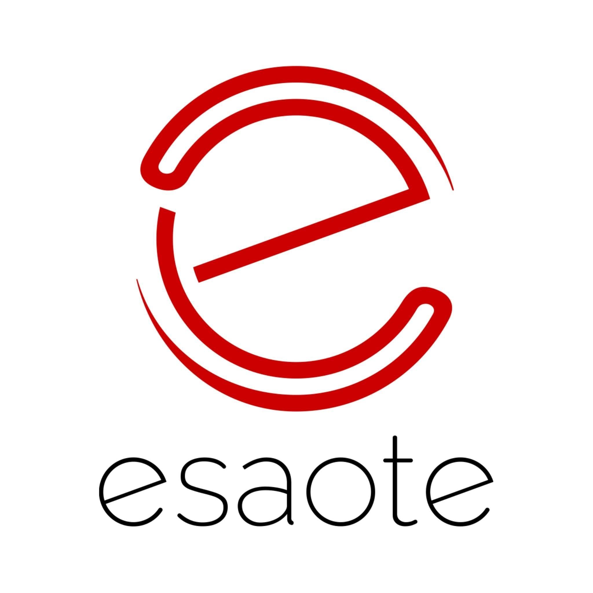 Esaote color logo