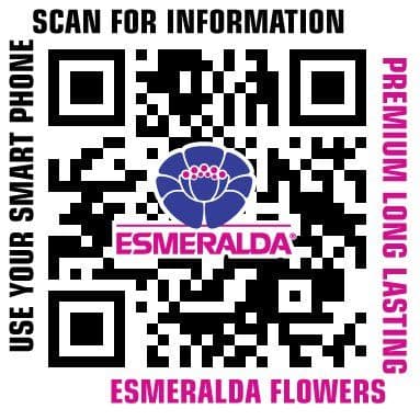 Esmeralda Farms color logo
