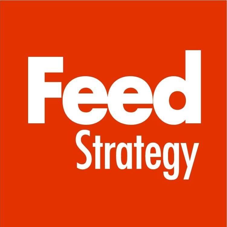 Feed Strategy color logo