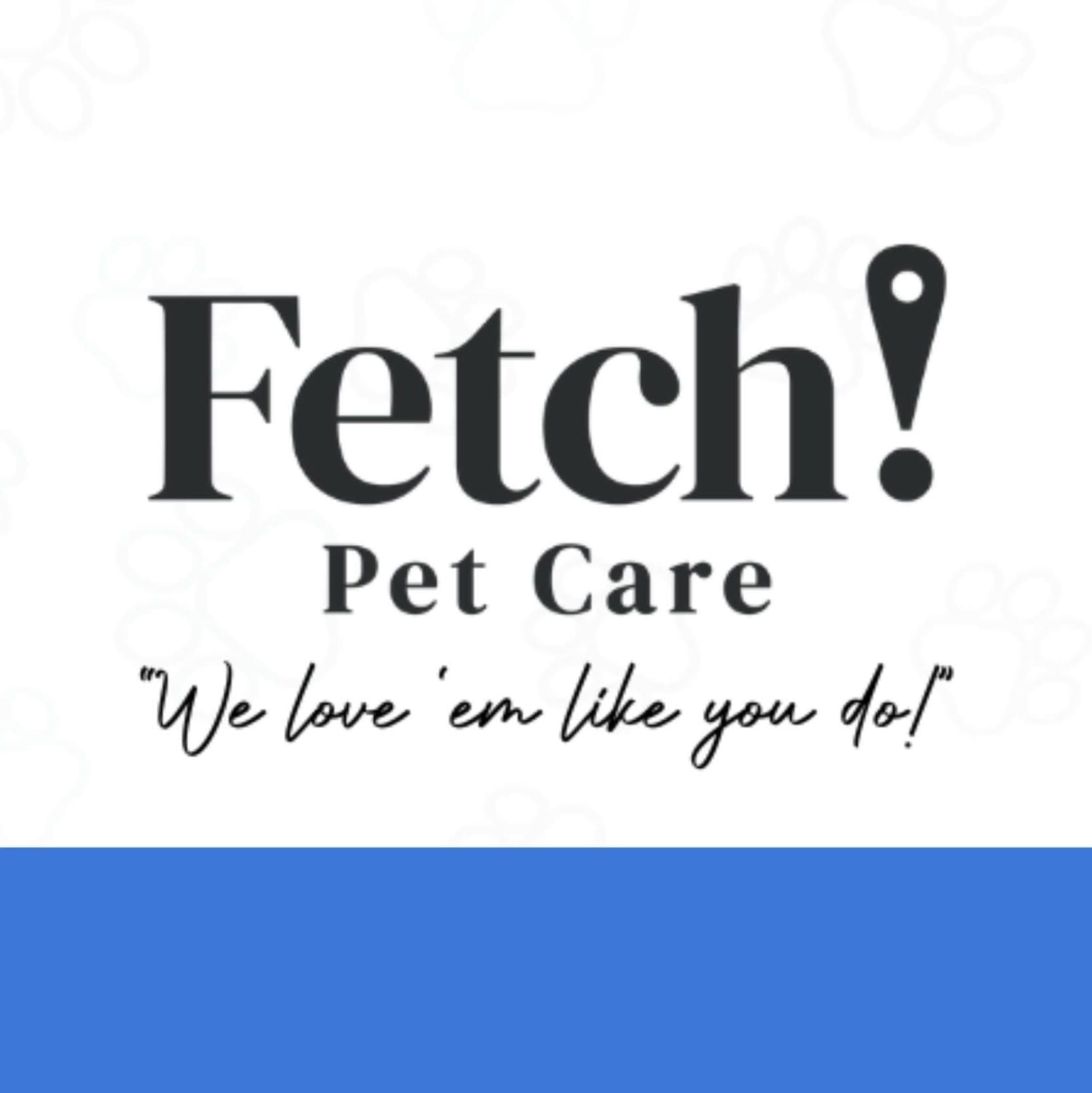 Fetch Pet Care color logo