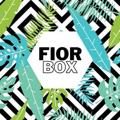 Fiorbox color logo
