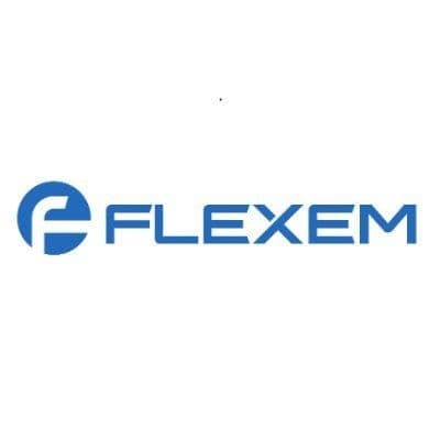 FLEXEM color logo